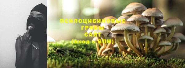 бошки Алзамай