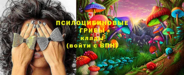 крисы Алексин
