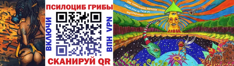наркошоп  Салават  Псилоцибиновые грибы Magic Shrooms 
